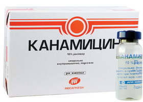Канамицин как заменитель пенициллина