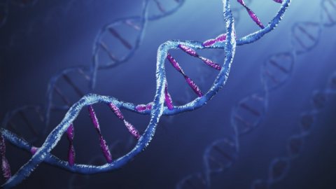 Генные мутации как причина аутоиммунных заболеваний